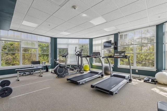 workout area featuring baseboards, a drop ceiling, and carpet