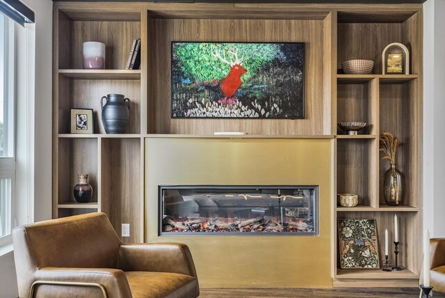 living area featuring built in features