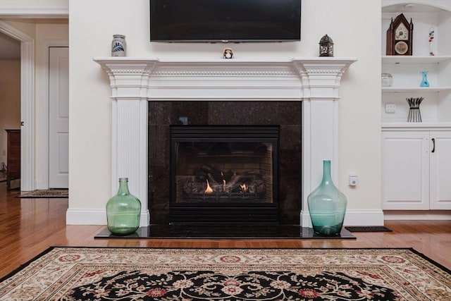 interior details with wood finished floors, baseboards, and a premium fireplace