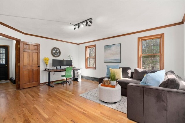 5 Crescent Ln, Sudbury, MA 01776 - living area with ornamental molding, baseboards, and light wood-style floors