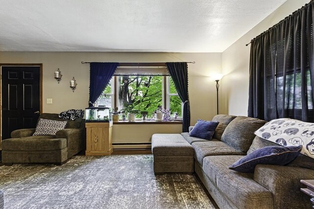 living room featuring baseboard heating and wood finished floors