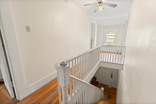 stairway with ceiling fan and hardwood / wood-style floors