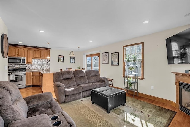 living room with sink and light hardwood / wood-style flooring