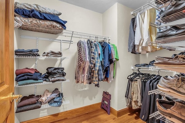 spacious closet featuring wood-type flooring