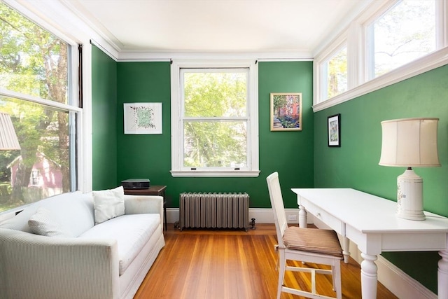 21 Waterston Rd, Newton, MA 02458 - living room featuring radiator, wood finished floors, ornamental molding, and baseboards