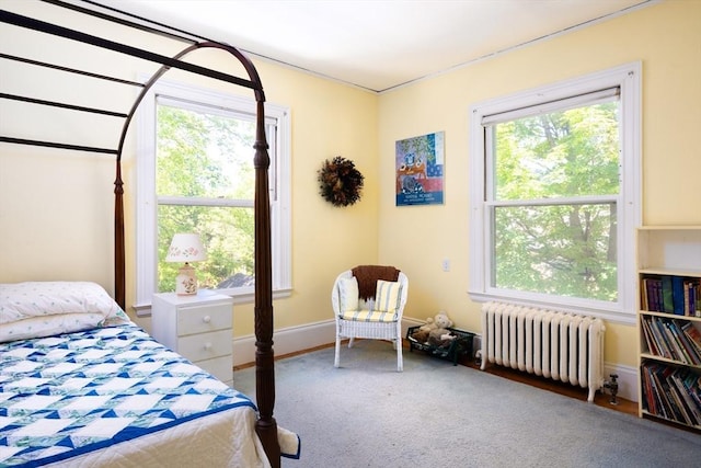 21 Waterston Rd, Newton, MA 02458 - bedroom with radiator and multiple windows