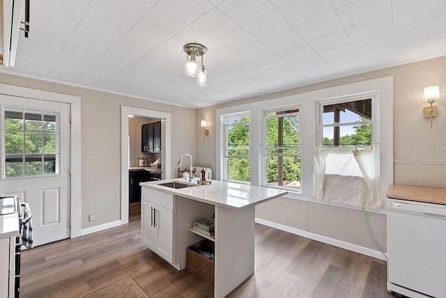 8 Holman St, Templeton, MA 01436 - kitchen featuring white dishwasher, healthy amount of natural light, light countertops, wood finished floors, and crown molding