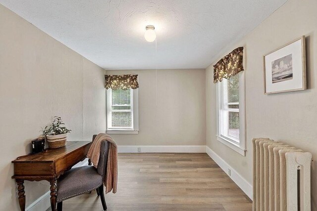 8 Holman St, Templeton, MA 01436 - office area with radiator heating unit, light wood finished floors, and a textured ceiling