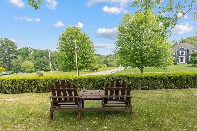 17 Maplewood Dr, Hanover, MA 02339 - view of green lawn