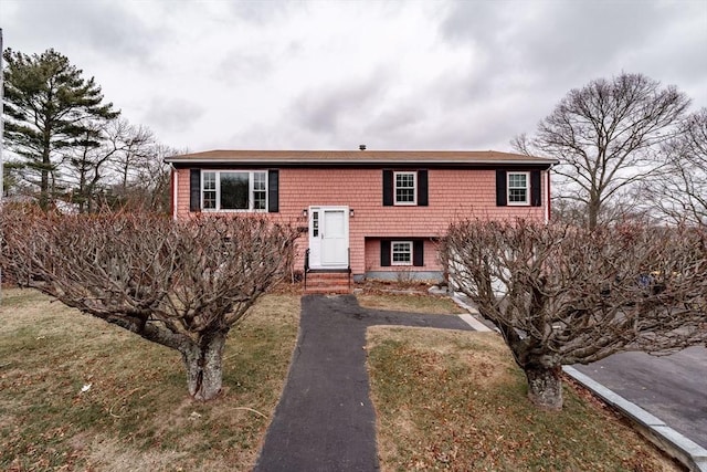 bi-level home with a front yard