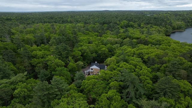 93 Hollis Rd, Plymouth, MA 02360 - drone / aerial view of a heavily wooded area and a large body of water