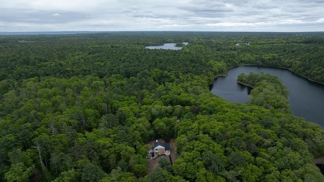 93 Hollis Rd, Plymouth, MA 02360 - bird's eye view of a heavily wooded area and a nearby body of water