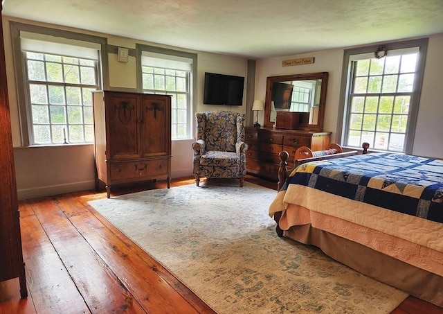 164 Worcester Rd, Westminster, MA 01473 - bedroom with multiple windows, hardwood / wood-style flooring, radiator, and baseboards