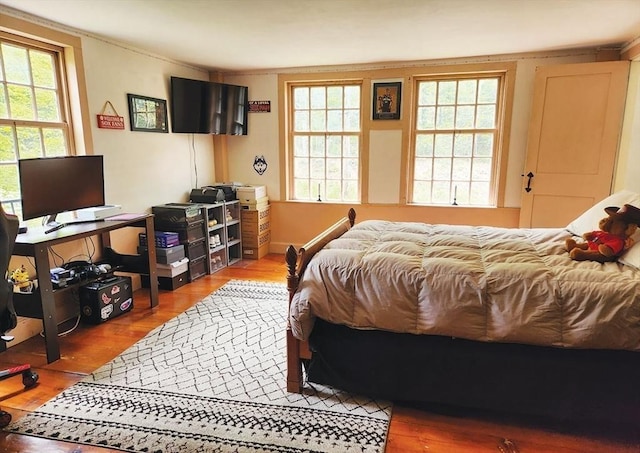 164 Worcester Rd, Westminster, MA 01473 - bedroom featuring wood finished floors and multiple windows