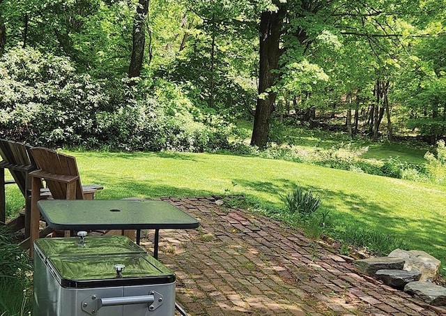 164 Worcester Rd, Westminster, MA 01473 - view of green lawn with a patio