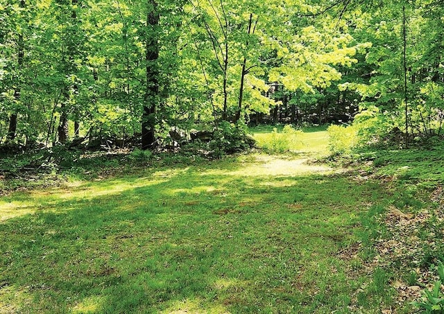 164 Worcester Rd, Westminster, MA 01473 - view of green lawn