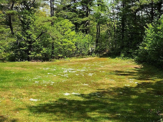 164 Worcester Rd, Westminster, MA 01473 - view of yard featuring a forest view