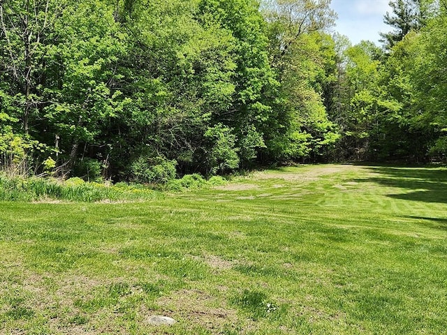 164 Worcester Rd, Westminster, MA 01473 - view of green lawn featuring a forest view