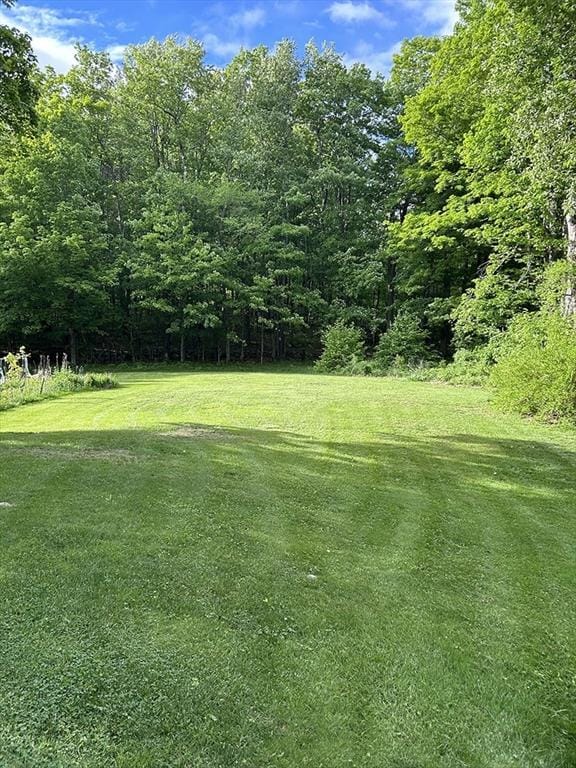 164 Worcester Rd, Westminster, MA 01473 - view of green lawn