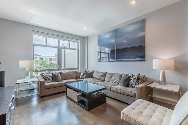 living room featuring dark hardwood / wood-style floors