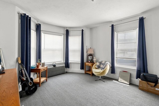 381 Hunnewell St Unit 381, Needham, MA 02494 - sitting room with radiator heating unit and carpet floors