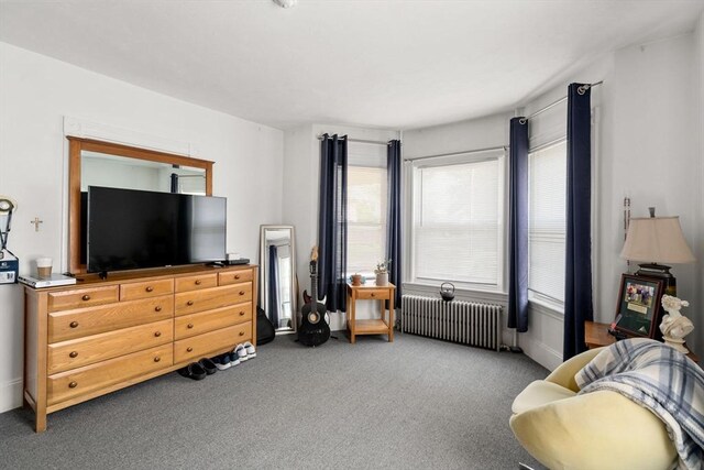 381 Hunnewell St Unit 381, Needham, MA 02494 - living area featuring radiator heating unit and carpet floors