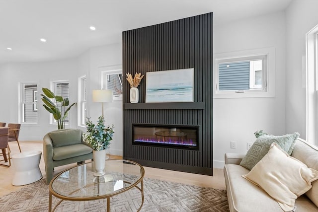 living room with hardwood / wood-style floors