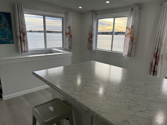 kitchen featuring a water view and wood-type flooring