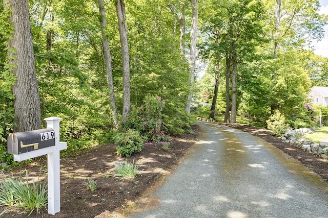 619 Pond St, Weymouth, MA 02190 - view of dirt / gravel driveway