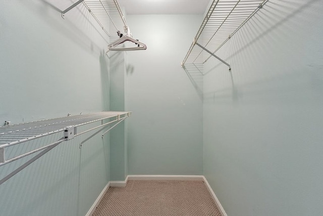 spacious closet with light carpet