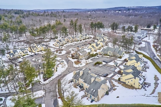 drone / aerial view with a residential view and a wooded view