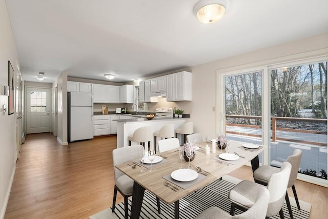 dining area with light hardwood / wood-style floors