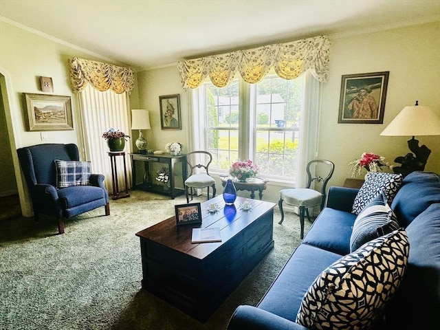 1408 Fox Run, Middleboro, MA 02346 - living room featuring carpet and ornamental molding