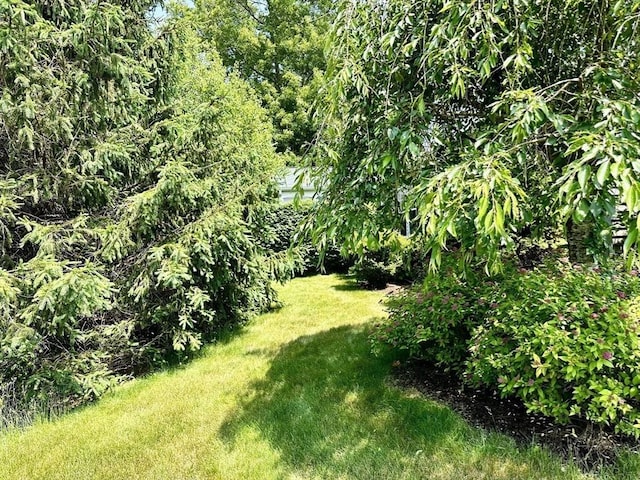 1408 Fox Run, Middleboro, MA 02346 - view of green lawn