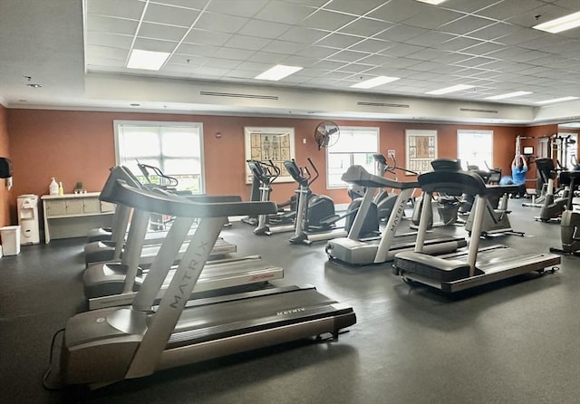 1408 Fox Run, Middleboro, MA 02346 - gym with a paneled ceiling