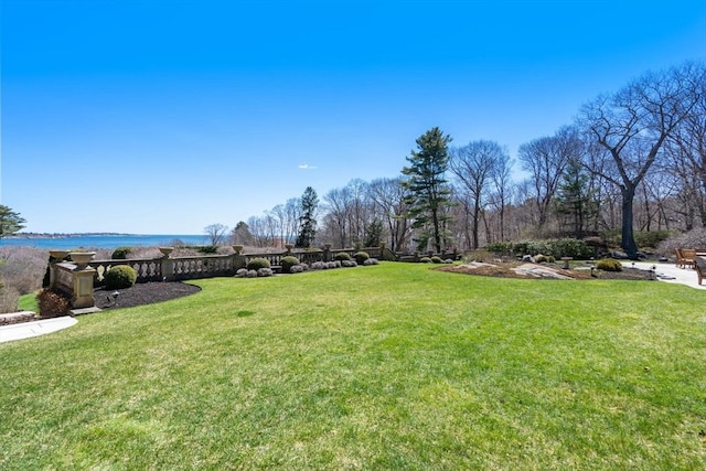 view of yard with a water view