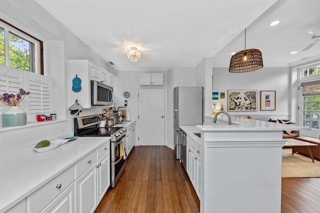 60 Glen Rd Unit 201, Brookline, MA 02445 - kitchen featuring appliances with stainless steel finishes, a peninsula, white cabinets, dark wood-style floors, and light countertops