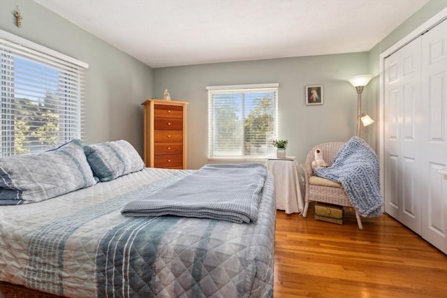 bedroom with wood finished floors and a closet