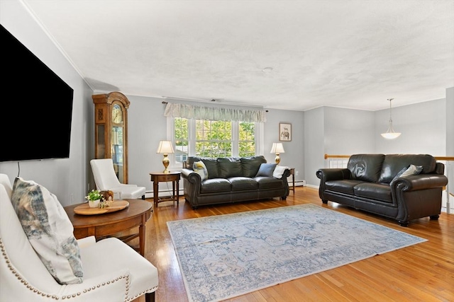 10 Lisa Ln, Reading, MA 01867 - living area with a baseboard heating unit and wood finished floors