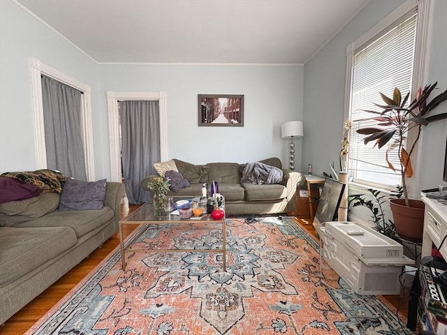 57 Bartlett St, Somerville, MA 02145 - living room with wood finished floors and ornamental molding