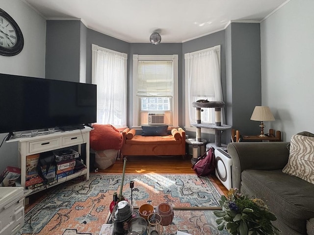 57 Bartlett St, Somerville, MA 02145 - living area featuring wood finished floors, cooling unit, and crown molding