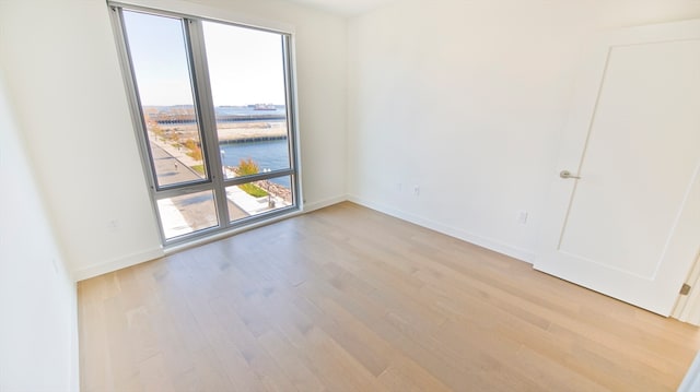 unfurnished room featuring light wood-type flooring