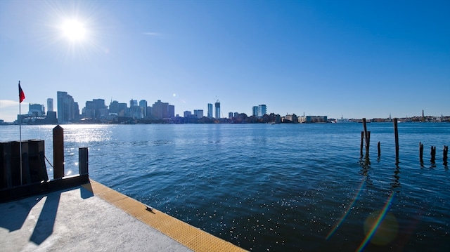 dock area with a water view