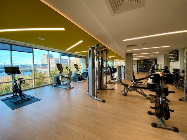 gym featuring light hardwood / wood-style floors and a wall of windows