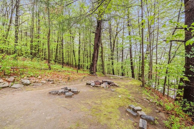 view of yard featuring a forest view