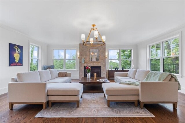 197-199 Winchester St, Brookline, MA 02446 - living room featuring plenty of natural light, wood finished floors, a chandelier, and ornamental molding