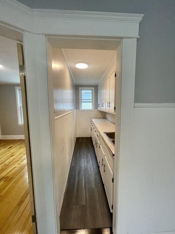 interior space with a sink, a wainscoted wall, and wood finished floors