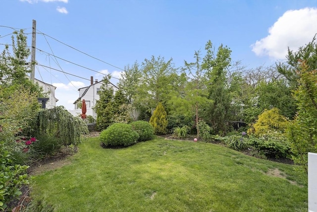 50 Triton Ave, Winthrop, MA 02152 - view of grassy yard