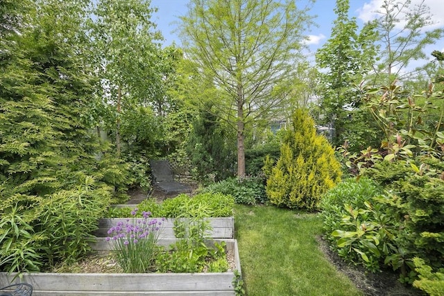 50 Triton Ave, Winthrop, MA 02152 - view of yard