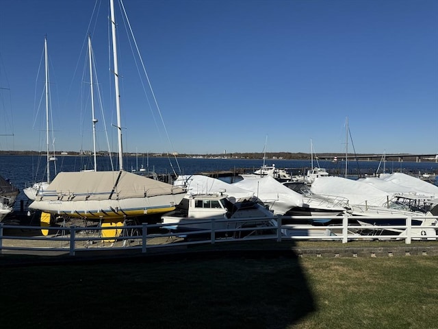 dock area with a water view